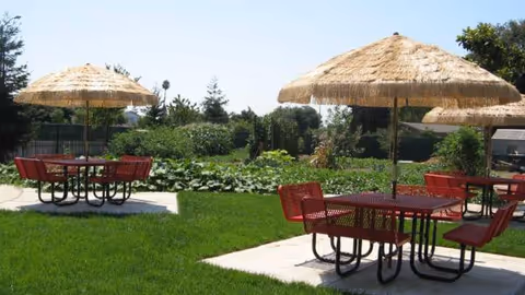 Outdoor courtyard with red metal tables, chairs, and thatched umbrellas.
