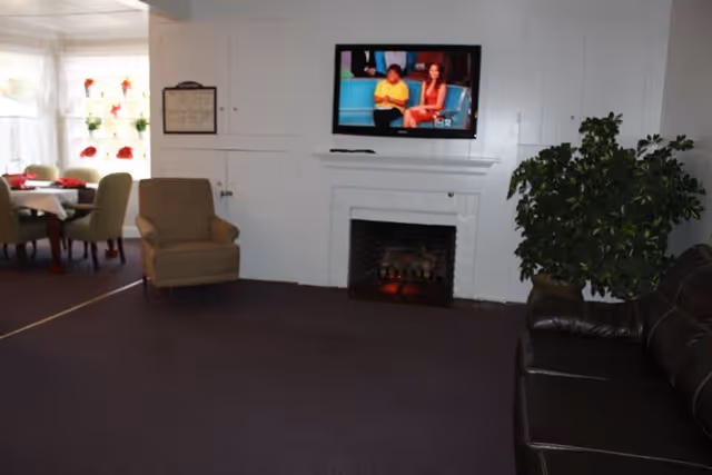 A common living room with a wall-mounted TV above a fireplace, armchairs, a sofa, a potted plant and a dining table visible in the background.
