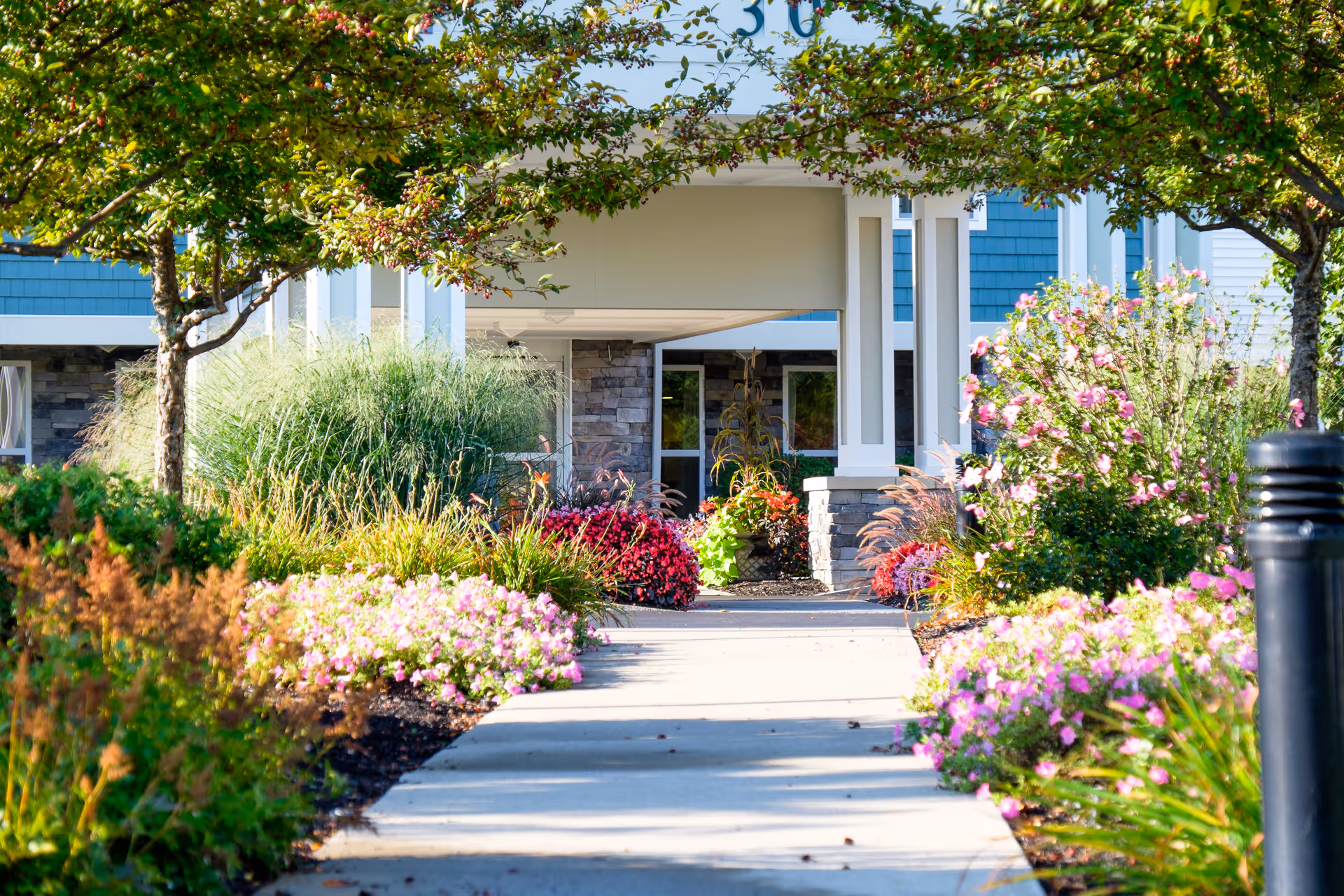A paved walkway leading to the entrance of a building, surrounded by lush greenery and colorful flowering plants on both sides, with trees providing shade overhead.