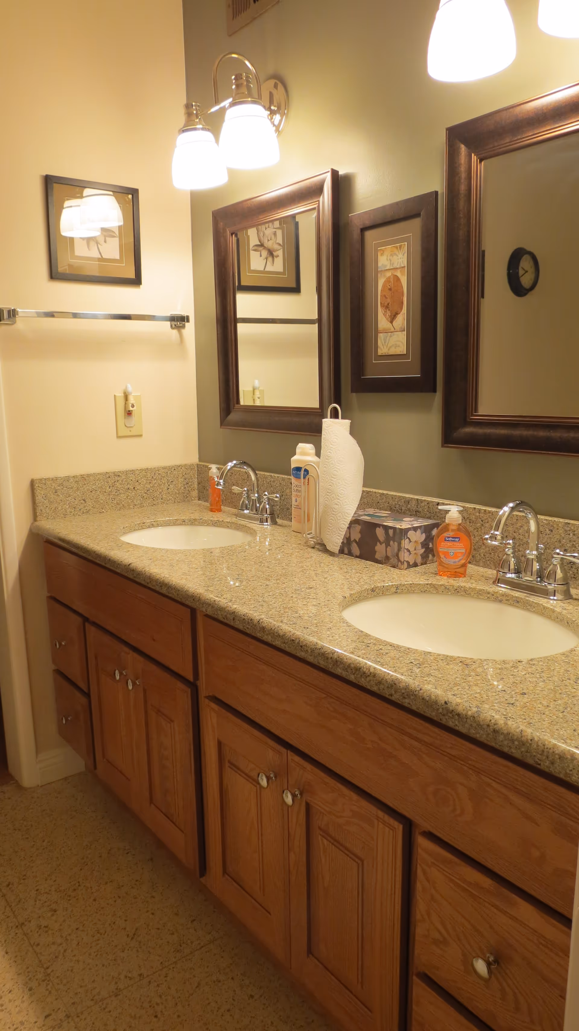 A bathroom vanity with two sinks, each with a chrome faucet. Above each sink is a framed mirror. On the countertop are a paper towel holder, a box of tissues, a bottle of lotion, and a bottle of antibacterial hand soap. The vanity has wooden cabinets and drawers. The walls are painted in two tones, with a light beige and a muted green. There are two wall-mounted light fixtures with three bulbs each above the mirrors. A framed picture hangs on the wall between the mirrors.