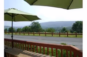 View from a patio with green umbrellas and a wooden railing overlooking a road, trees, and distant hills.