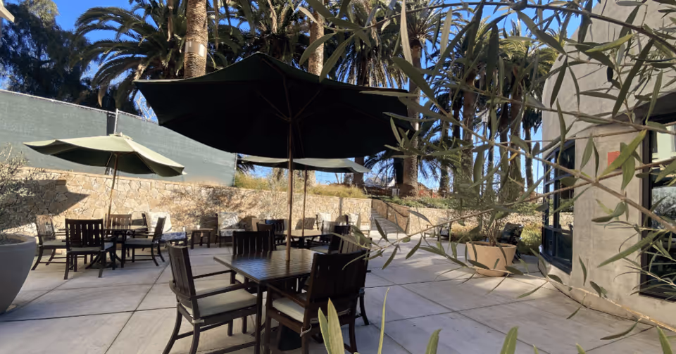 Outdoor patio area with several tables and chairs under large green umbrellas, surrounded by potted plants and palm trees, with a stone wall and building visible in the background under a clear blue sky.