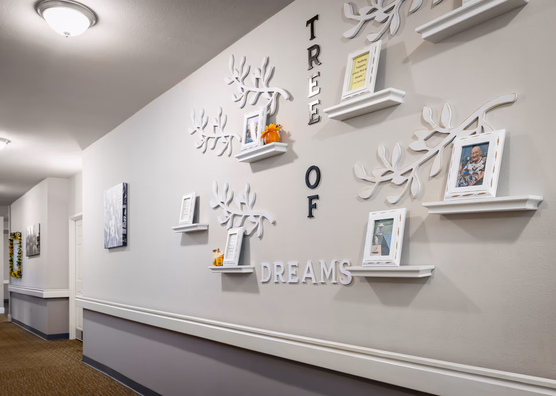 A hallway in a senior living facility with a decorative wall display featuring white shelves holding framed photos and small pumpkins. The wall art includes white branches and the words 'TREE OF DREAMS' arranged vertically and horizontally. The hallway has carpeted floors, white walls with a gray lower section, and ceiling lights.