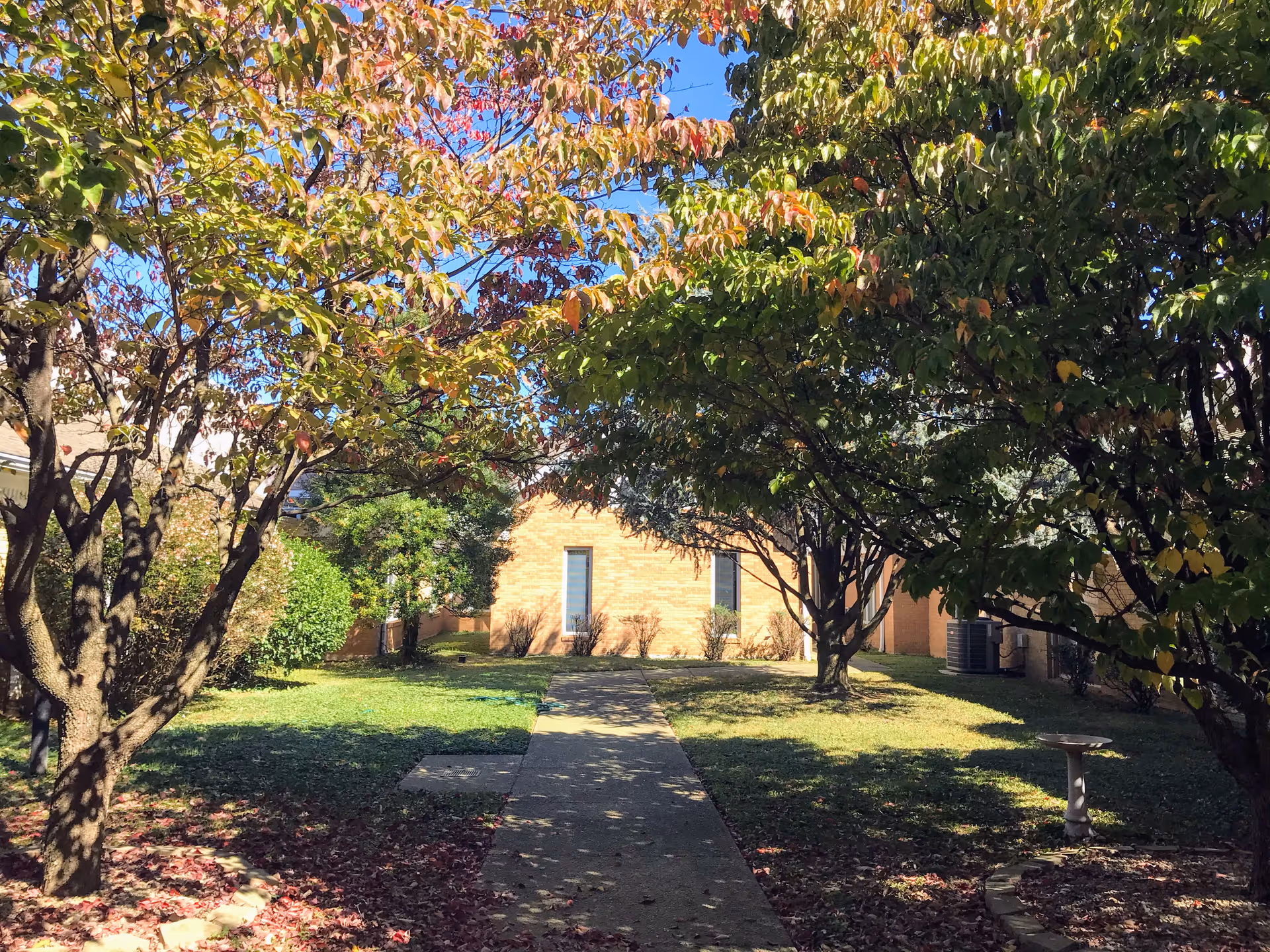 A sunny outdoor garden area with a concrete pathway leading to a brick building. The garden is surrounded by trees with green and some red leaves, casting shadows on the grass and pathway. There is a small birdbath on the right side of the path.