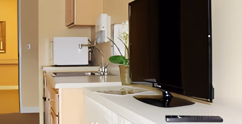Small kitchenette area with a countertop sink, microwave, cabinets, a potted plant, and a flat-screen TV.