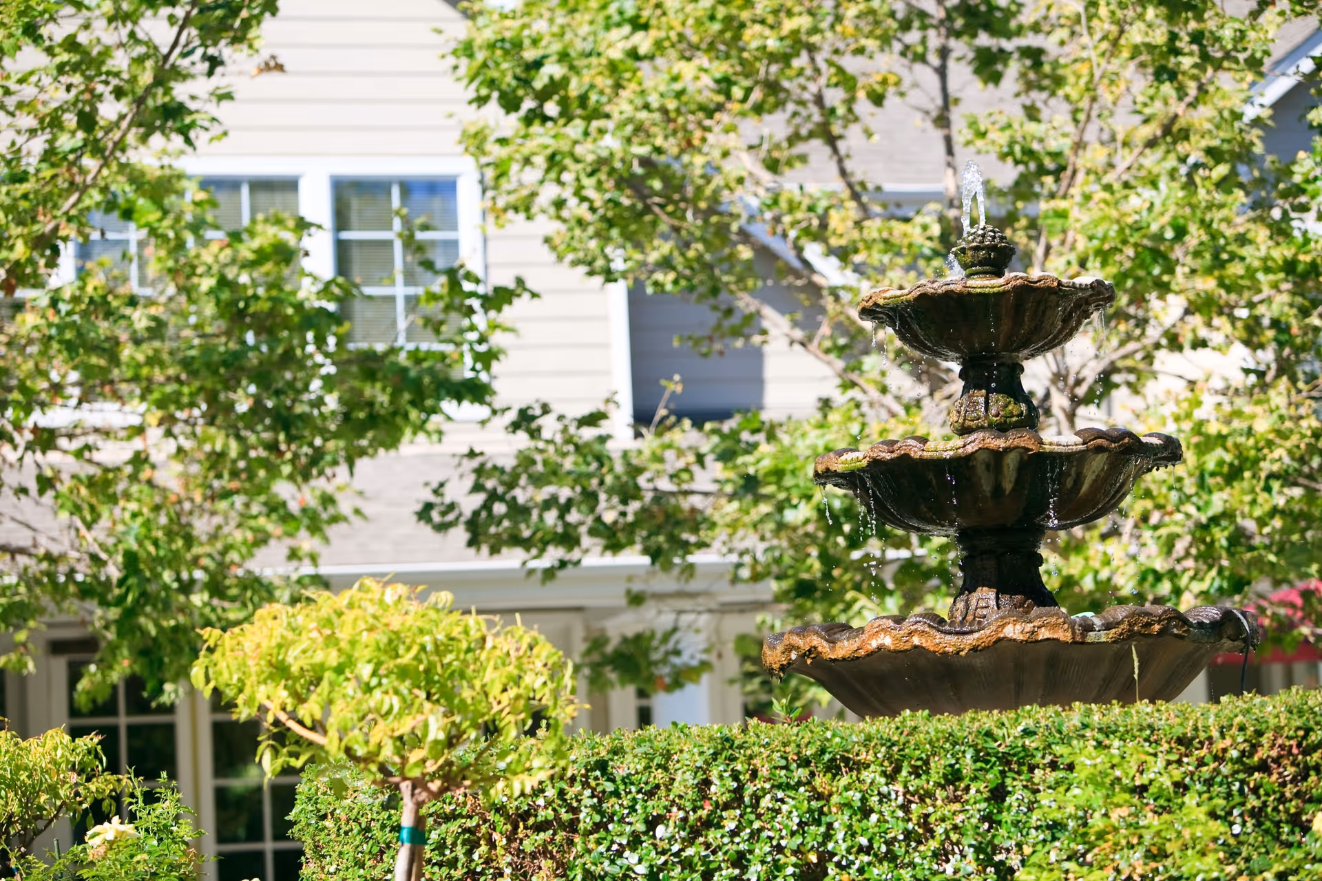 A three-tiered water fountain surrounded by green bushes and trees with a building featuring windows in the background, under bright daylight.