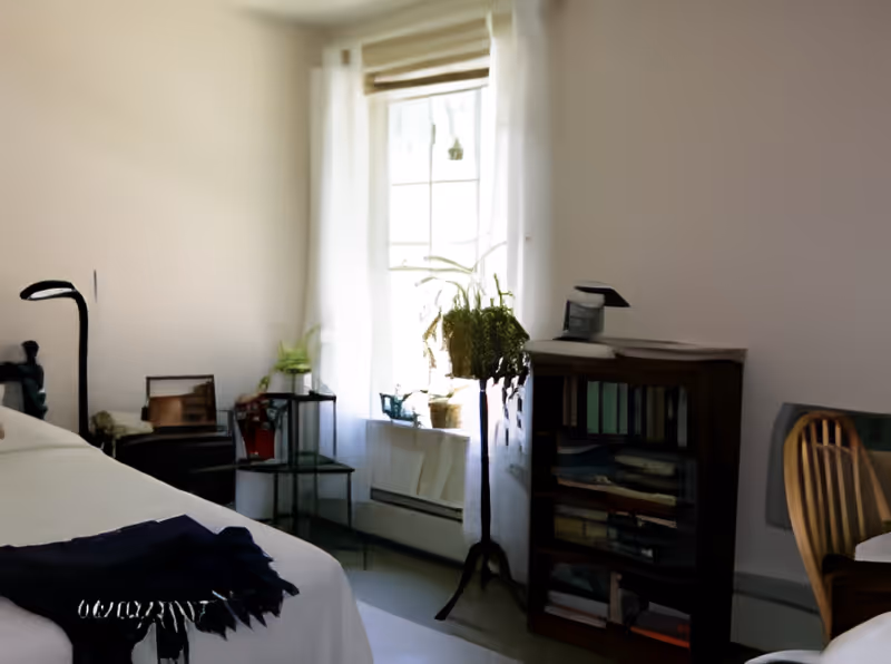 A bright bedroom with a bed covered in white sheets and a dark throw blanket. There is a window with white curtains letting in natural light. Next to the window are several plants on a stand and a small table. A wooden bookshelf filled with books and a lamp on top is positioned against the wall. A wooden chair is partially visible on the right side.