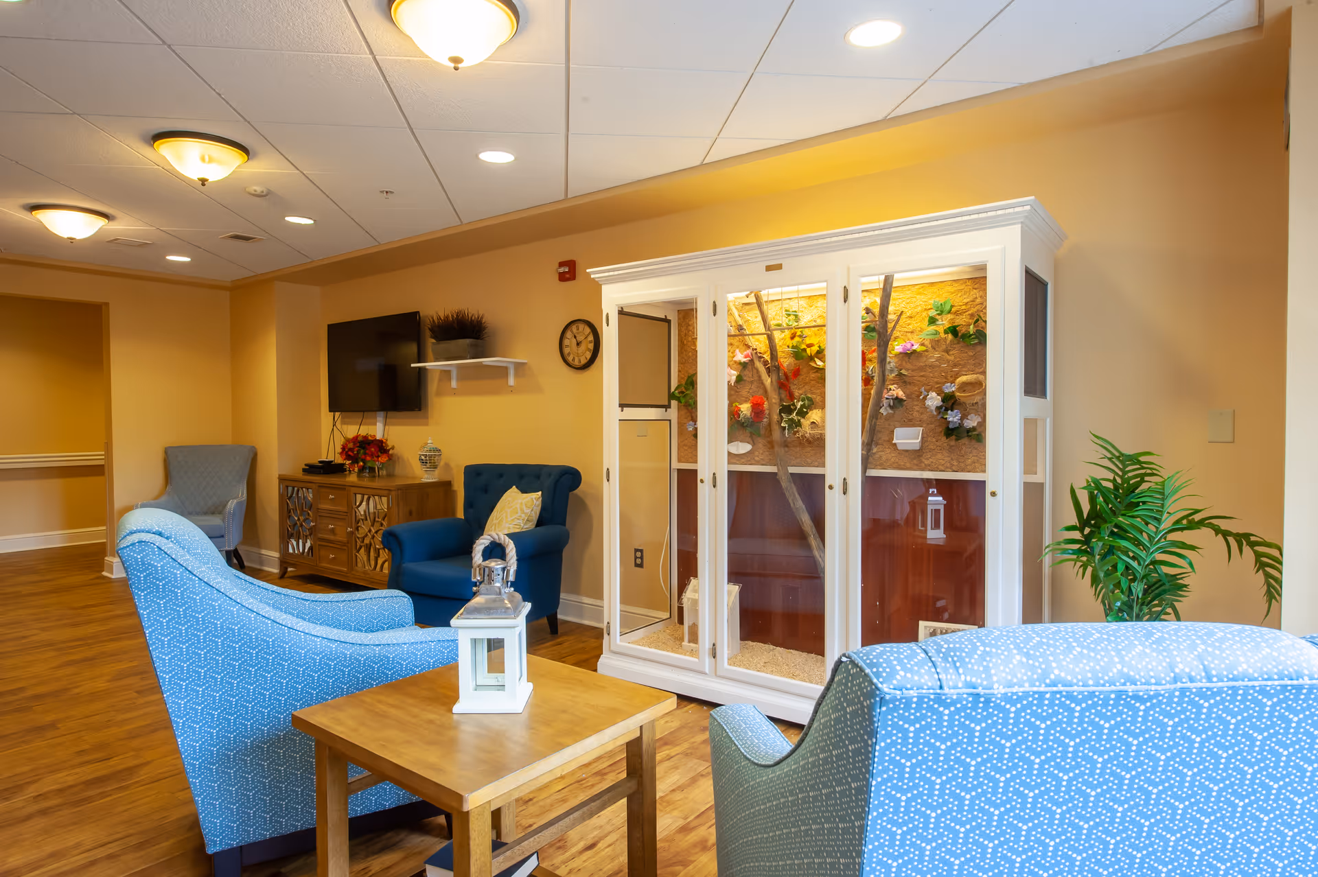 A cozy living room area with blue upholstered armchairs, a wooden side table with a white lantern, a white display cabinet with plants and decorations inside, a wall-mounted TV, a wooden cabinet, and warm yellow walls with ceiling lights.