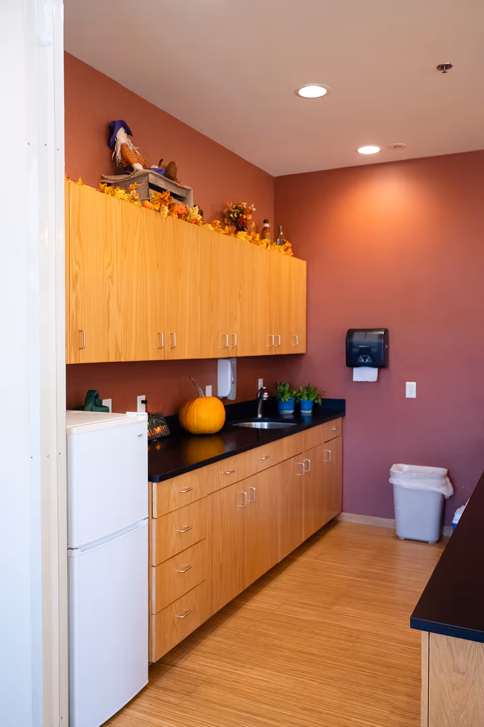 Small kitchenette with wood cabinets, a black countertop and sink, a mini refrigerator, seasonal decorations including a pumpkin, and a paper towel dispenser on a mauve wall.