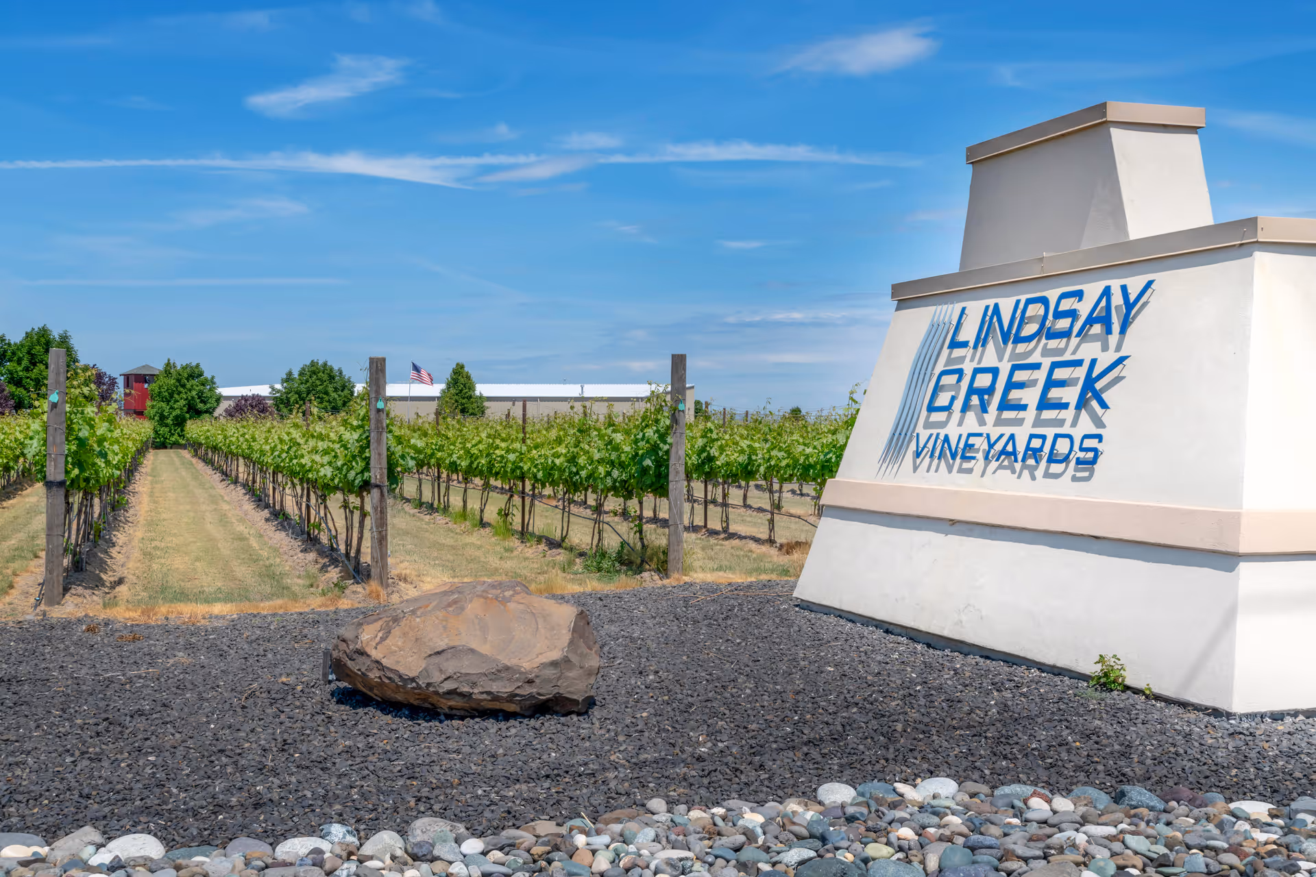 Outdoor view of a vineyard with rows of grapevines under a blue sky. In the foreground, there is a large rock and a white sign with blue text that reads 'Lindsay Creek Vineyards'.