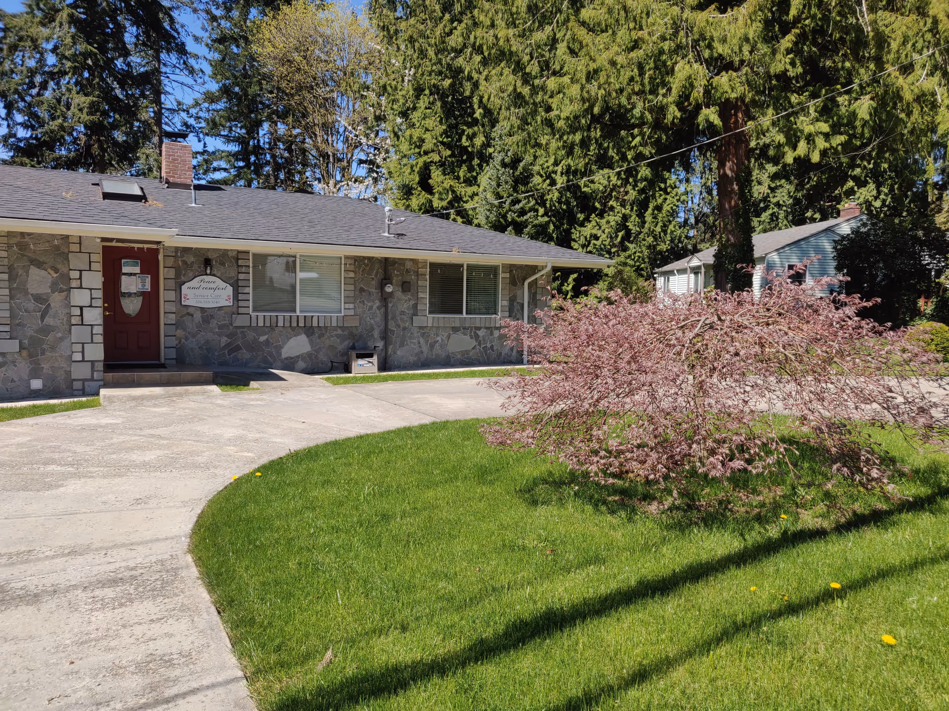 Single-story stone building with a red door and windows, surrounded by green grass and trees. A small pink-leaved bush is in the foreground, and a curved concrete driveway leads to the entrance. The building has a sign near the door that reads 'Peace and Comfort Senior Care'.