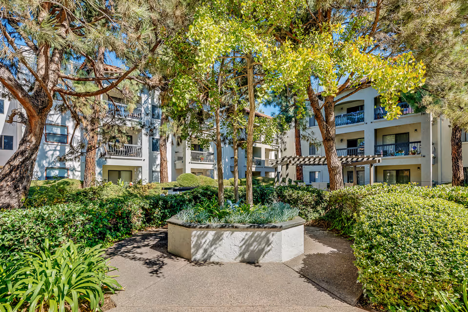 Outdoor courtyard area at Solstice Senior Living at El Cajon featuring a paved walkway, lush green bushes, trees, and a raised planter in the center. Surrounding the courtyard are multi-story residential buildings with balconies and windows under a clear blue sky.