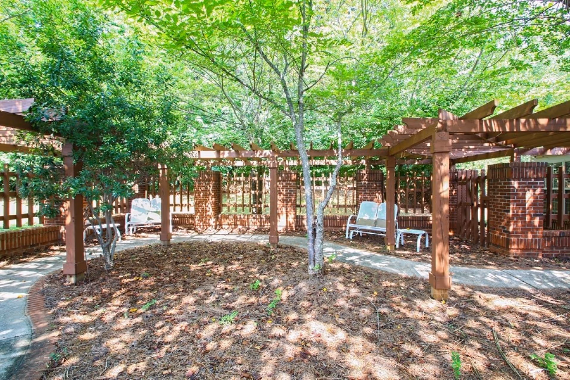 Outdoor garden area with a wooden pergola structure surrounded by trees and greenery. There are white benches placed under the pergola and a paved walkway curving around the garden bed covered with pine straw and leaves.