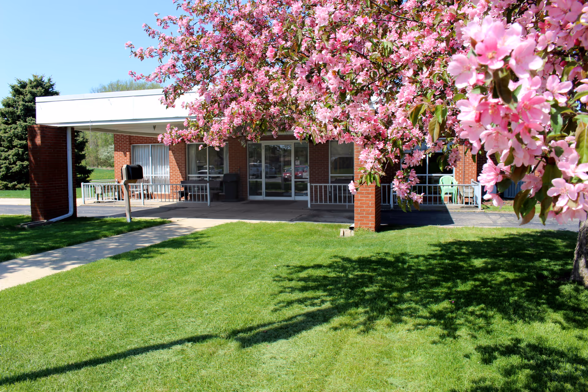 View of the exterior entrance of a brick building with a covered porch area. In the foreground, there is a lush green lawn and a tree with vibrant pink blossoms partially framing the image. The porch has outdoor furniture and a mailbox near the walkway leading to the entrance.