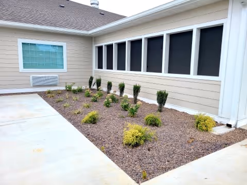 Outdoor view of a landscaped area next to a building with beige siding and multiple windows. The garden bed contains small shrubs and plants surrounded by brown mulch, bordered by a concrete walkway.