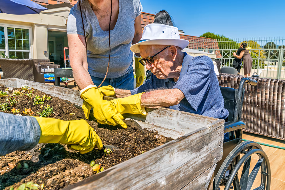 An elderly man in a wheelchair wearing a white hat and glasses is gardening with the assistance of two people wearing yellow gloves. They are planting small plants in a raised wooden garden bed outdoors on a sunny day, with a building and patio furniture in the background.