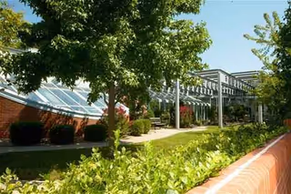 Sunlit outdoor courtyard with a glass-covered walkway, trees, and manicured shrubs.