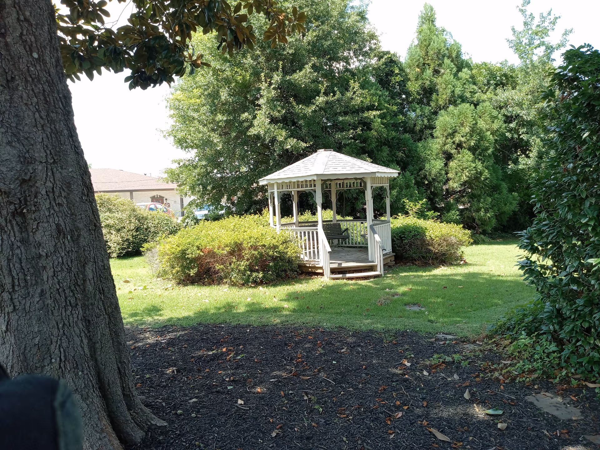 A white wooden gazebo surrounded by green bushes and trees in a grassy outdoor area with a large tree trunk in the foreground and a building partially visible in the background.
