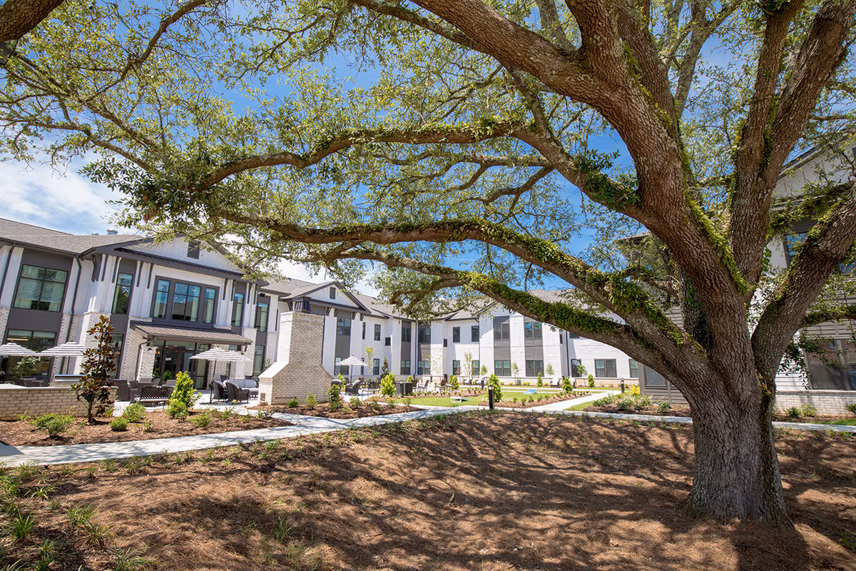 A large tree with sprawling branches in the foreground of a landscaped courtyard area with pathways, outdoor seating, and a central fireplace, surrounded by a two-story senior living facility building under a clear blue sky.