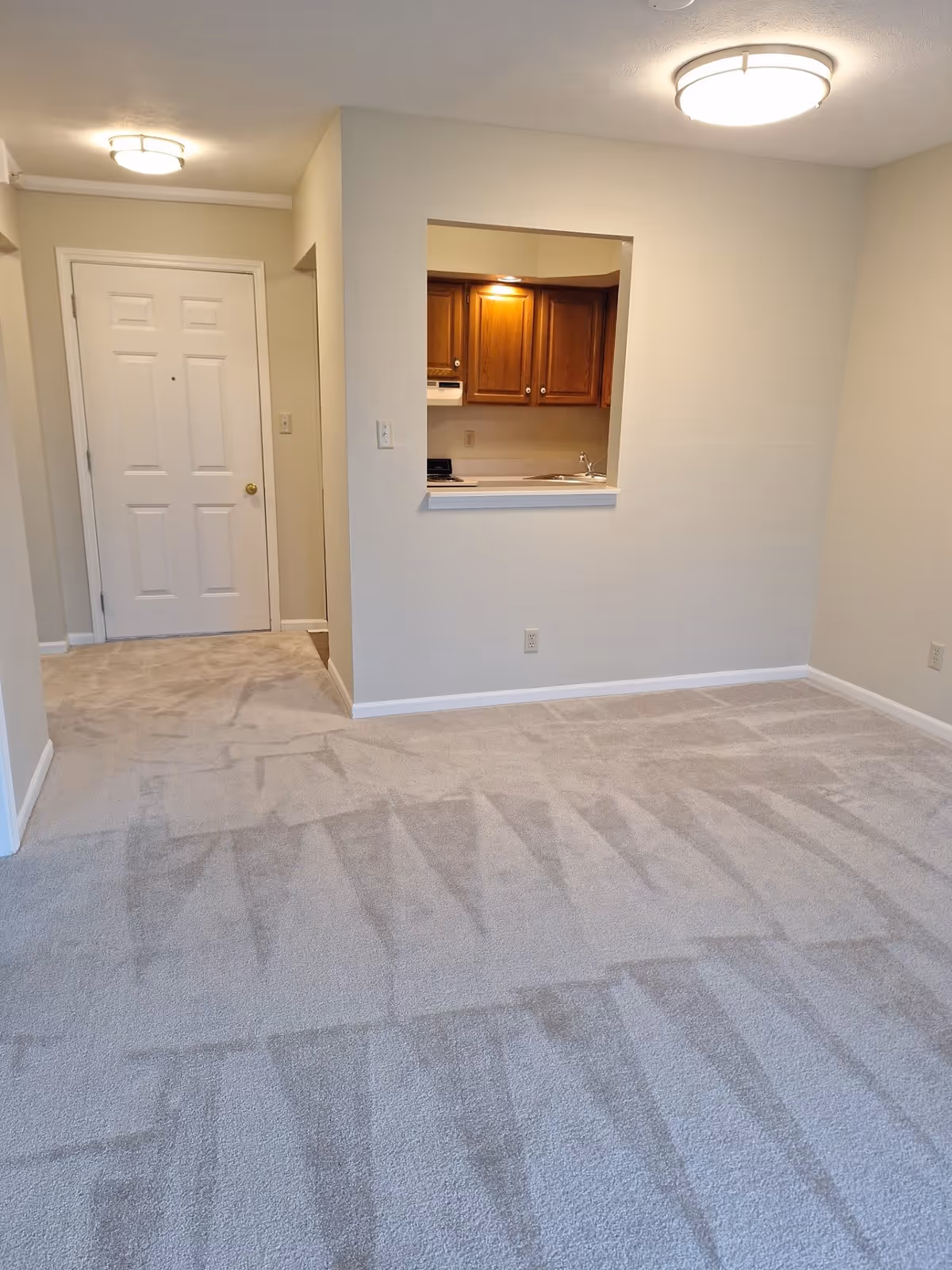 Empty room with beige carpet and walls, featuring a small kitchen pass-through window with wooden cabinets and a sink visible. There is a white door in the background and two ceiling lights illuminating the space.
