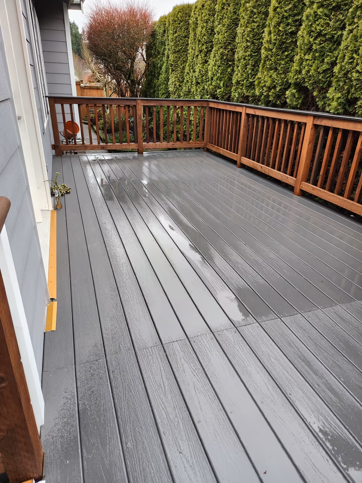 A wet wooden deck with gray floorboards and brown railings, adjacent to a building with gray siding. The deck is bordered by tall green hedges and some leafless trees in the background.