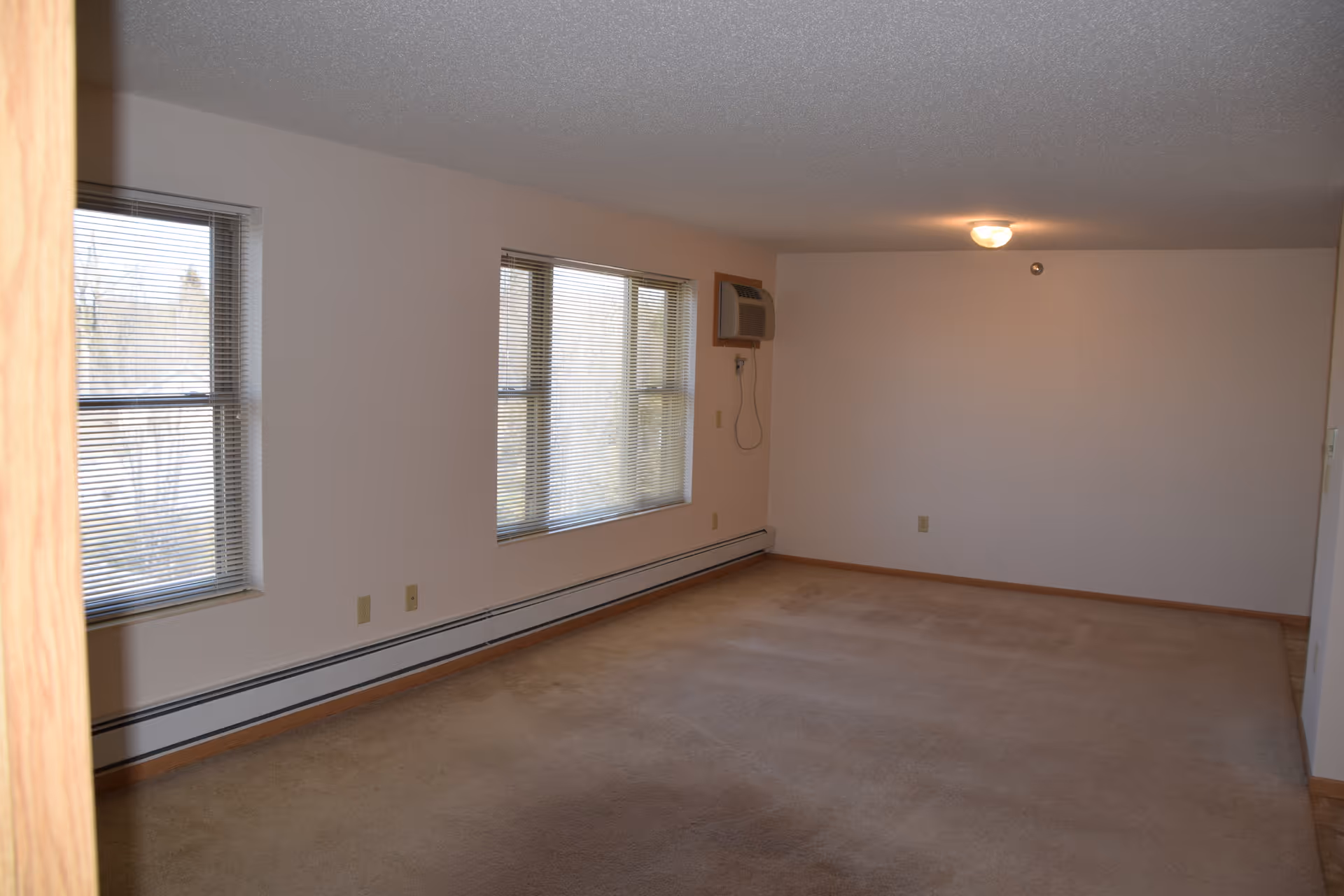 Empty carpeted living room with multiple windows, a wall-mounted air conditioner, baseboard heating, and a ceiling light.
