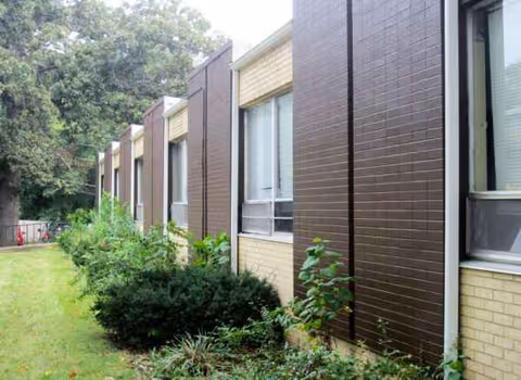 Row of brown brick building exteriors with windows and green shrubs along the side.