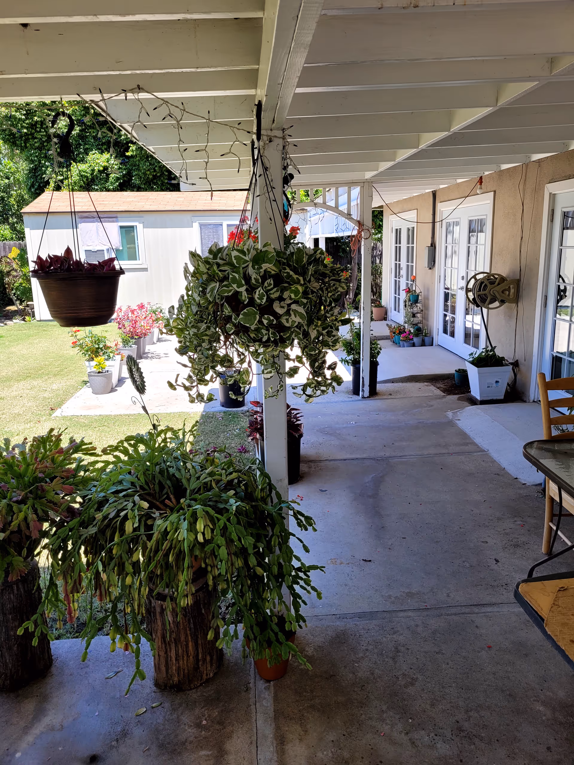 Covered outdoor patio area with hanging and potted plants, a concrete floor, and a view of a grassy yard with more potted plants. The patio is adjacent to a building with multiple glass doors and windows. There is a table and chair partially visible on the right side.