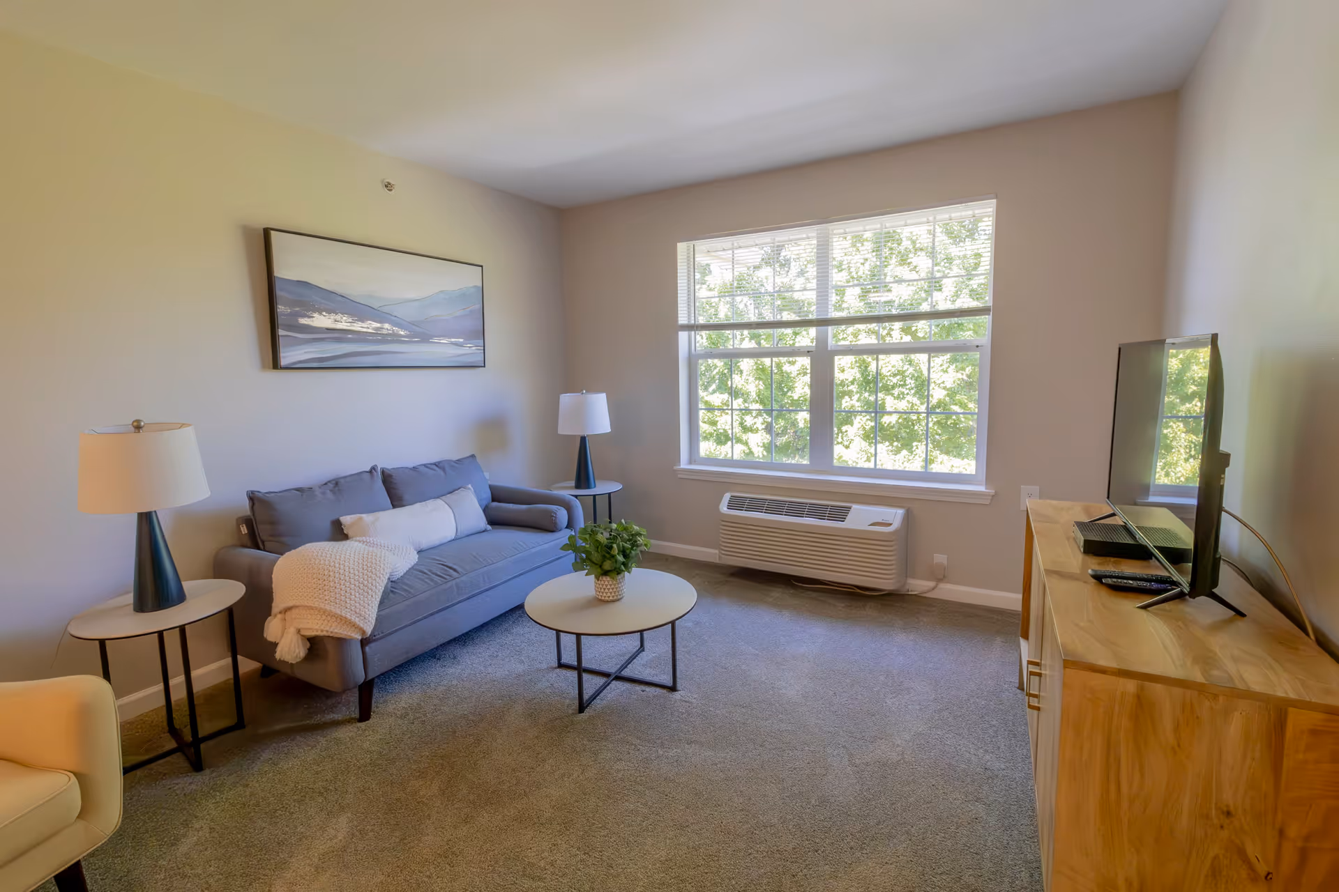 A cozy living room with a gray sofa adorned with pillows and a throw blanket, two side tables each with a lamp, a round coffee table with a small plant, a large window letting in natural light, and a wooden TV stand with a flat-screen television.