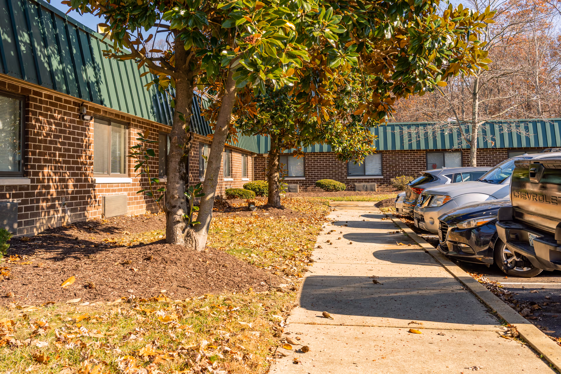 Sidewalk next to a brick building with green metal roofing, lined with trees and mulch beds on one side and parked cars on the other, under a clear sky with fallen leaves scattered on the ground.