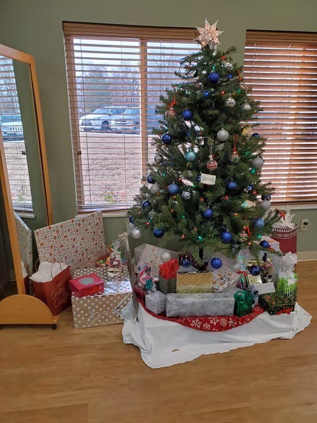 A decorated Christmas tree with blue, silver, and red ornaments and a star on top, surrounded by wrapped presents on a white and red tree skirt, placed in front of two windows with wooden blinds. A full-length mirror on a wooden stand is positioned to the left of the tree, reflecting part of the scene. Outside the windows, parked cars and a grassy area are visible.