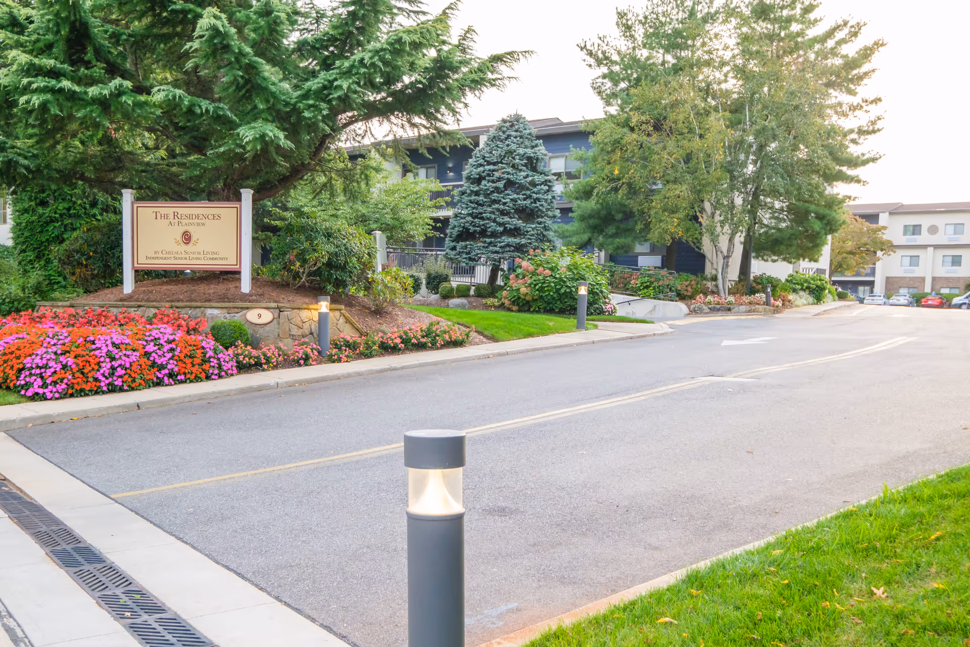 Entrance road to The Residences at Plainview by Chelsea Senior Living, featuring a landscaped area with colorful flowers, trees, and a sign displaying the facility's name. Residential buildings and parked cars are visible in the background.