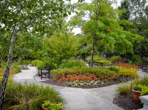 Landscaped outdoor courtyard with winding concrete paths, benches, trees, and flower beds.