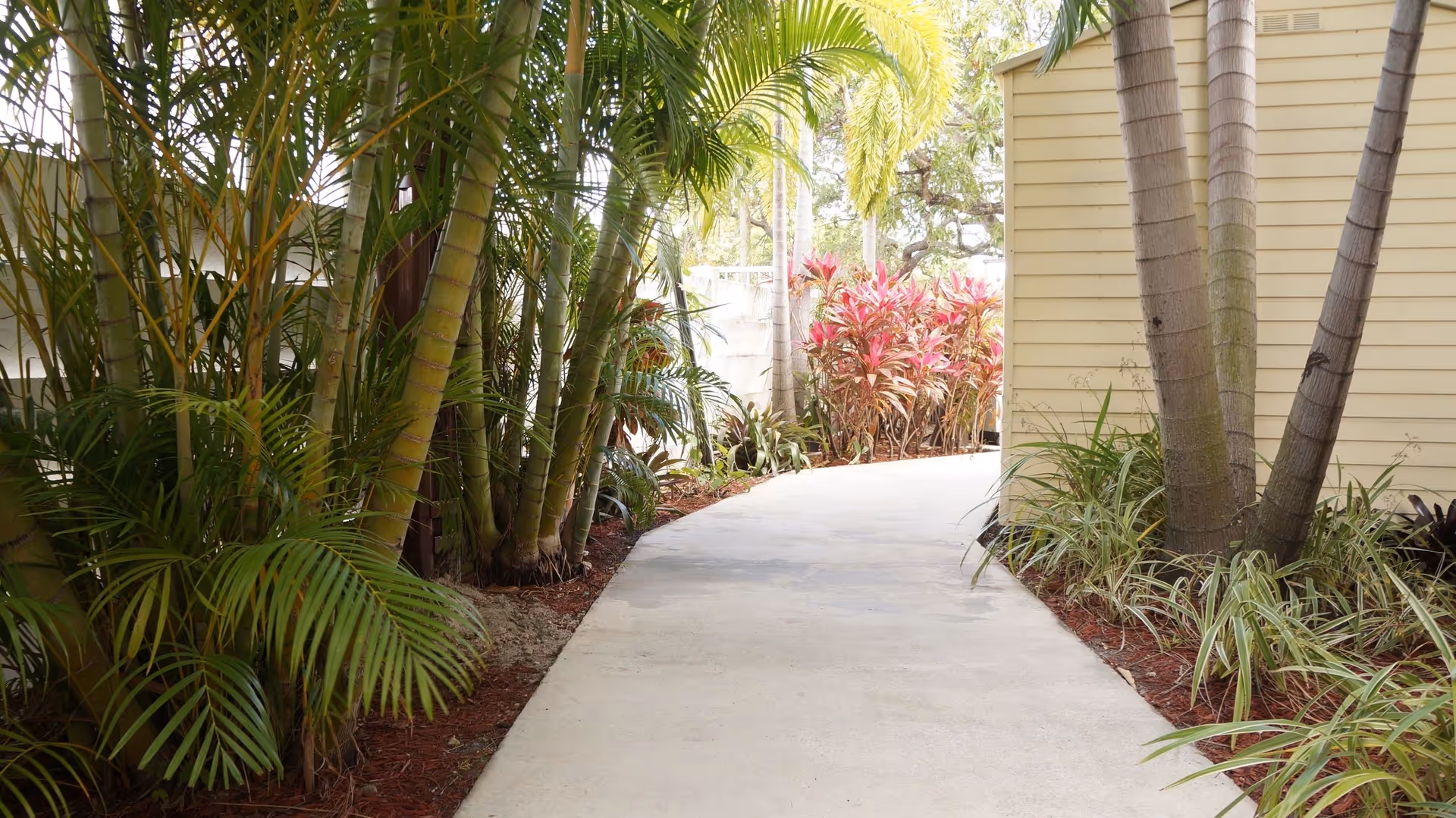 A curved concrete pathway lined with tropical plants including palm trees and colorful shrubs, next to a beige building with horizontal siding.