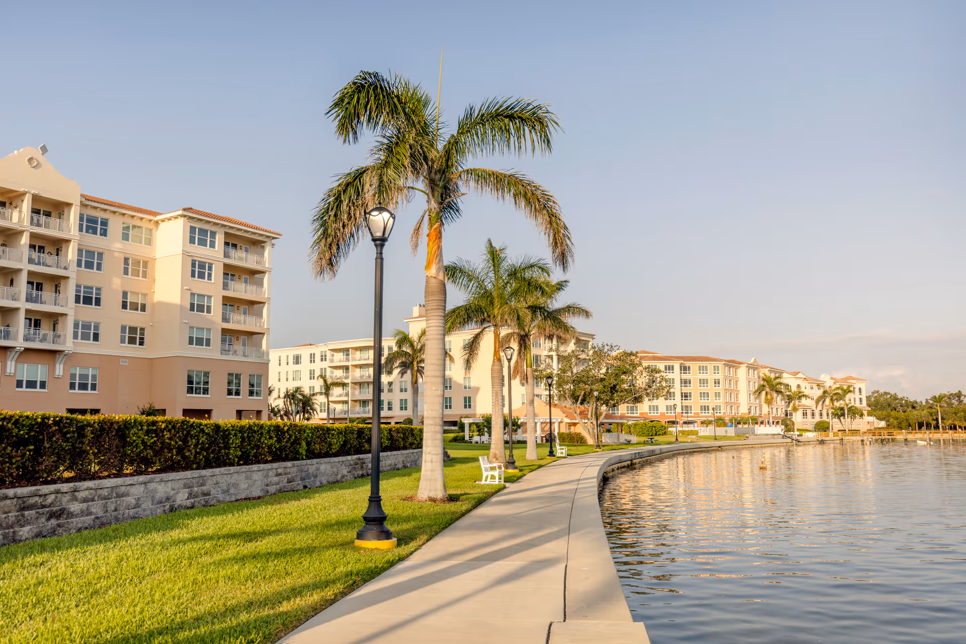 A waterfront walkway lined with palm trees and street lamps beside a calm body of water, with multi-story residential buildings in the background under a clear sky.