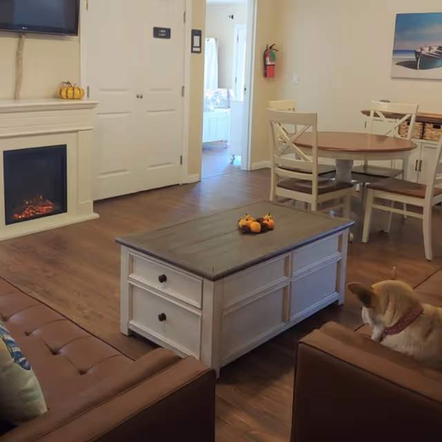 A cozy living room area with a brown leather sofa, a white wooden coffee table with small decorative pumpkins, a round dining table with four chairs, a fireplace with a small pumpkin on the mantel, and a dog sitting on the sofa. A doorway leads to a bedroom with a bed visible in the background.