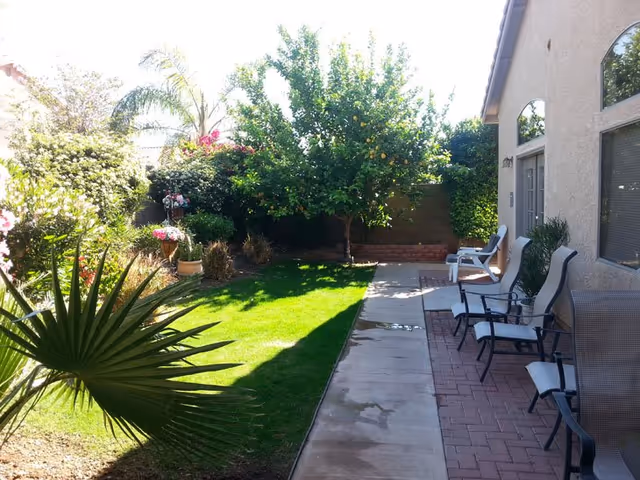Sunny backyard patio with a lawn, potted plants and a citrus tree, plus several chairs along a brick walkway beside the building.