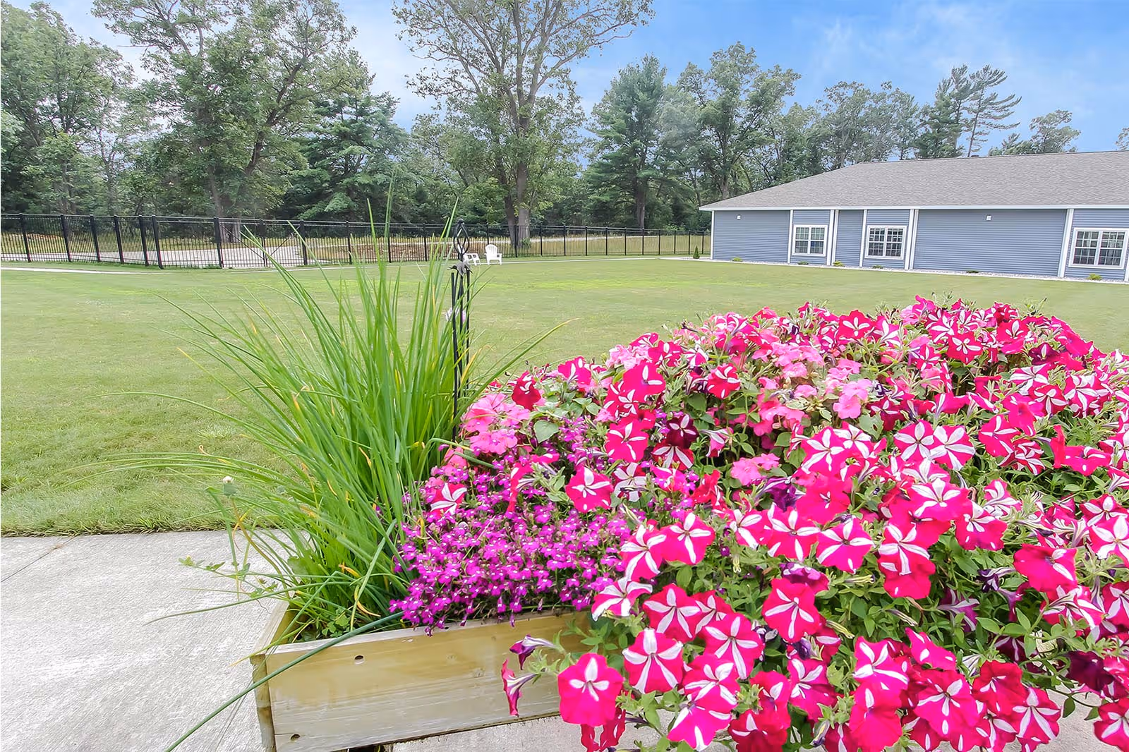 A wooden planter filled with pink and white flowers and tall grasses sits by a sidewalk with a grassy lawn and a single-story building in the background.
