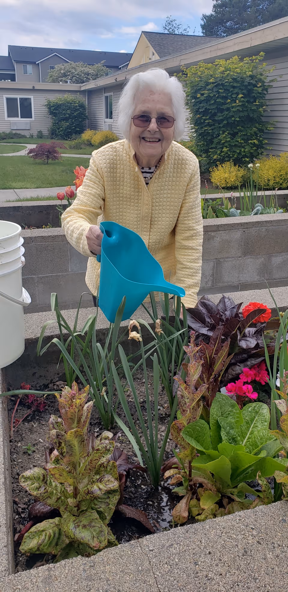 An elderly woman wearing glasses and a yellow jacket is smiling while watering plants in a raised garden bed outdoors. The garden bed contains various leafy greens and flowers. Behind her, there are residential buildings, bushes, and a lawn under a partly cloudy sky.