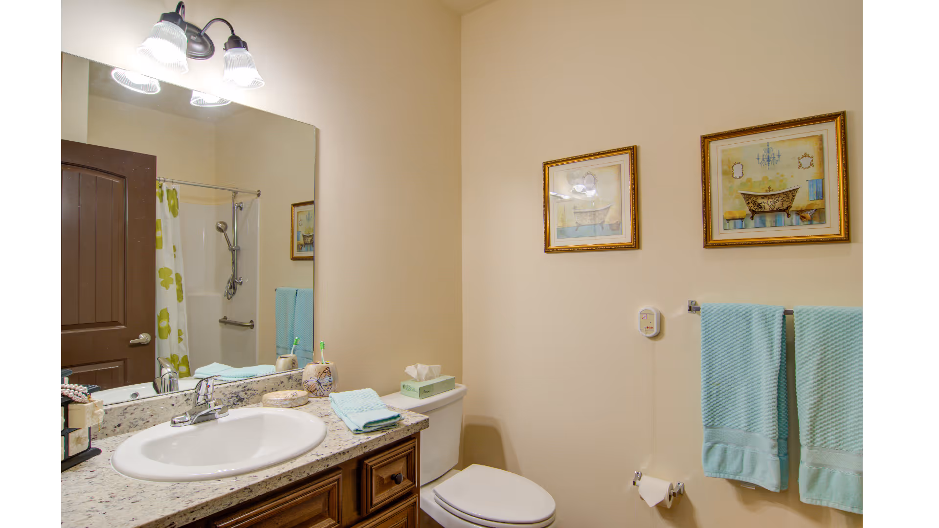 A clean and well-lit bathroom with a granite countertop sink, wooden cabinetry, a toilet, and a shower with a floral shower curtain. Two framed pictures hang on the wall above a towel rack holding two light blue towels. A tissue box and soap dispenser are on the countertop.