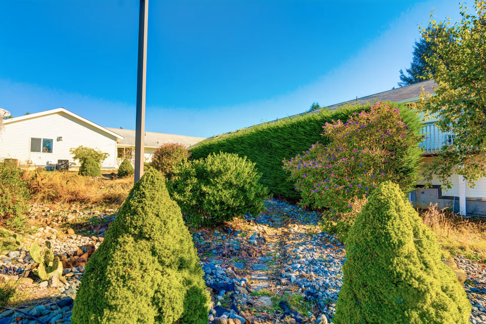 Outdoor garden area with various green shrubs and bushes, a rocky ground path, and a white building in the background under a clear blue sky.