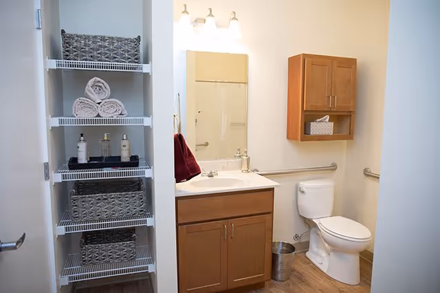 A clean and well-organized bathroom featuring a white toilet with grab bars on the walls, a wooden cabinet mounted above the toilet with a box of tissues, a wooden vanity with a sink and mirror above it, and a shelving unit with woven baskets and rolled towels. The floor is wood-style, and the walls are light-colored.
