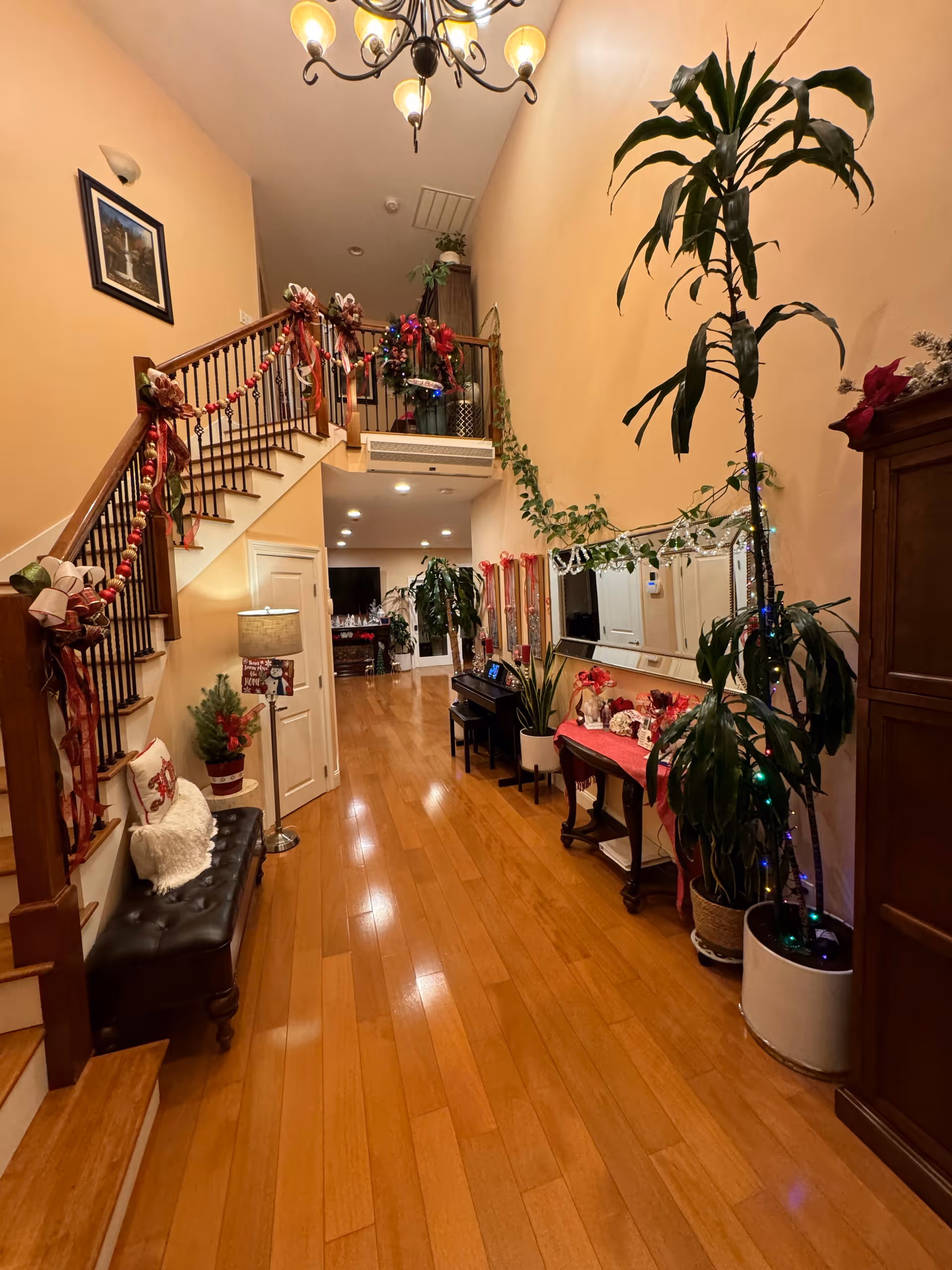 Interior entry hall with polished wooden floors, a decorated staircase, tall potted plants and furniture leading toward a living area.
