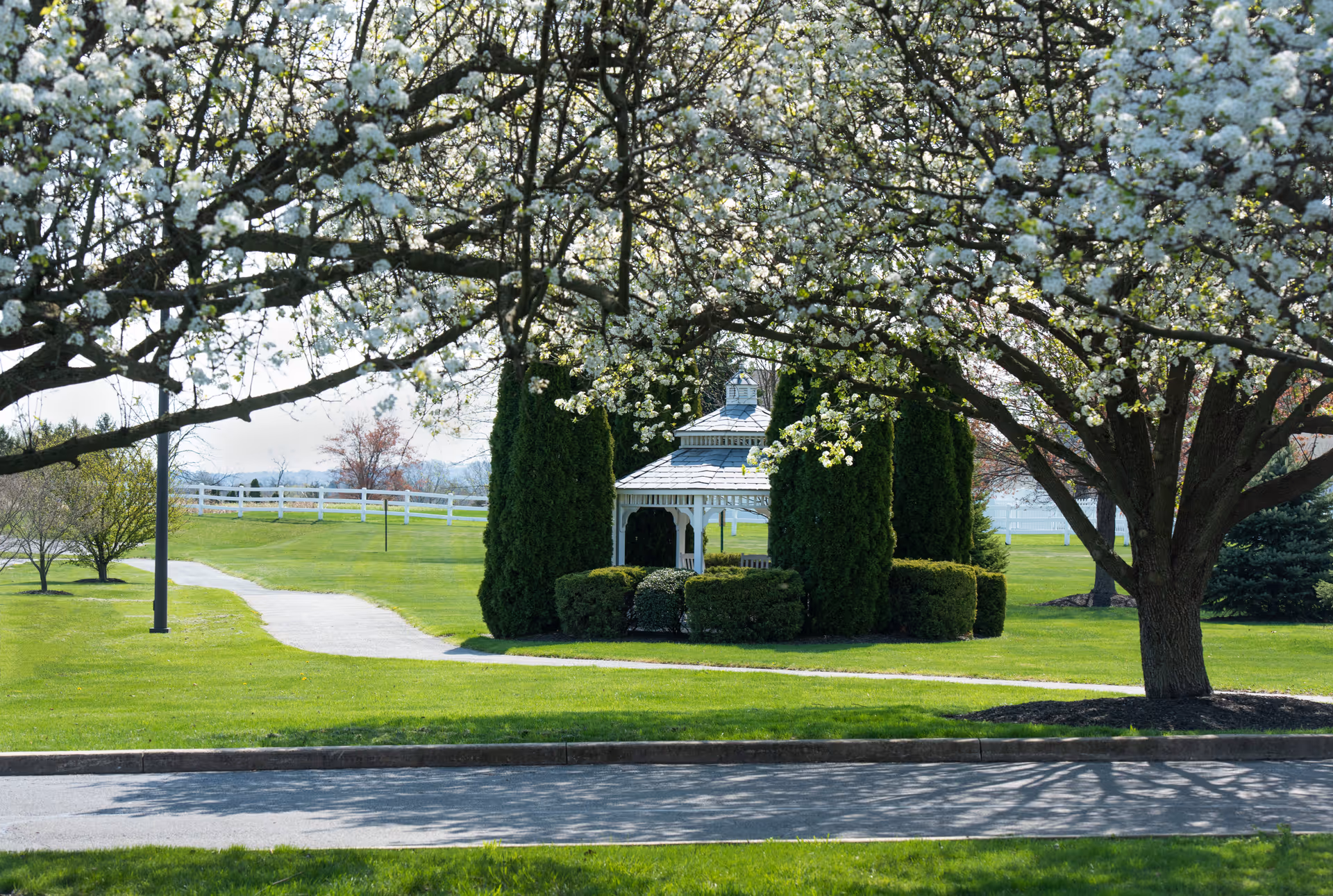 A peaceful outdoor scene at Providence Place Senior Living of Dover featuring a white gazebo surrounded by neatly trimmed bushes and tall evergreen trees. The area is framed by blossoming trees with white flowers, green grass, and a paved walkway leading towards the gazebo. A white fence and distant trees are visible in the background under a clear sky.