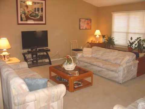 Cozy living room with sofas, coffee table, TV, lamps, and plants.