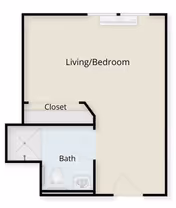 Floor plan of a living/bedroom area with an attached bathroom and closet. The living/bedroom space is the largest area, with a closet adjacent to the bathroom. The bathroom includes a toilet, sink, and shower.