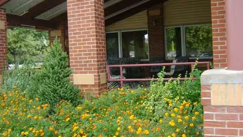 Exterior view of a brick care center with a covered entrance and yellow flowers in front.