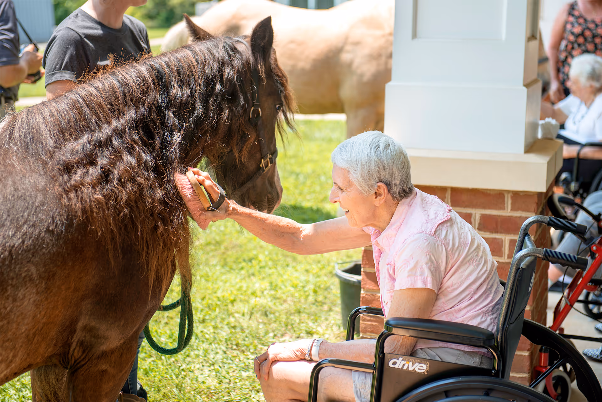 An elderly woman in a wheelchair is smiling and brushing a brown horse's mane outdoors near a brick pillar. Another horse and several people are visible in the background.