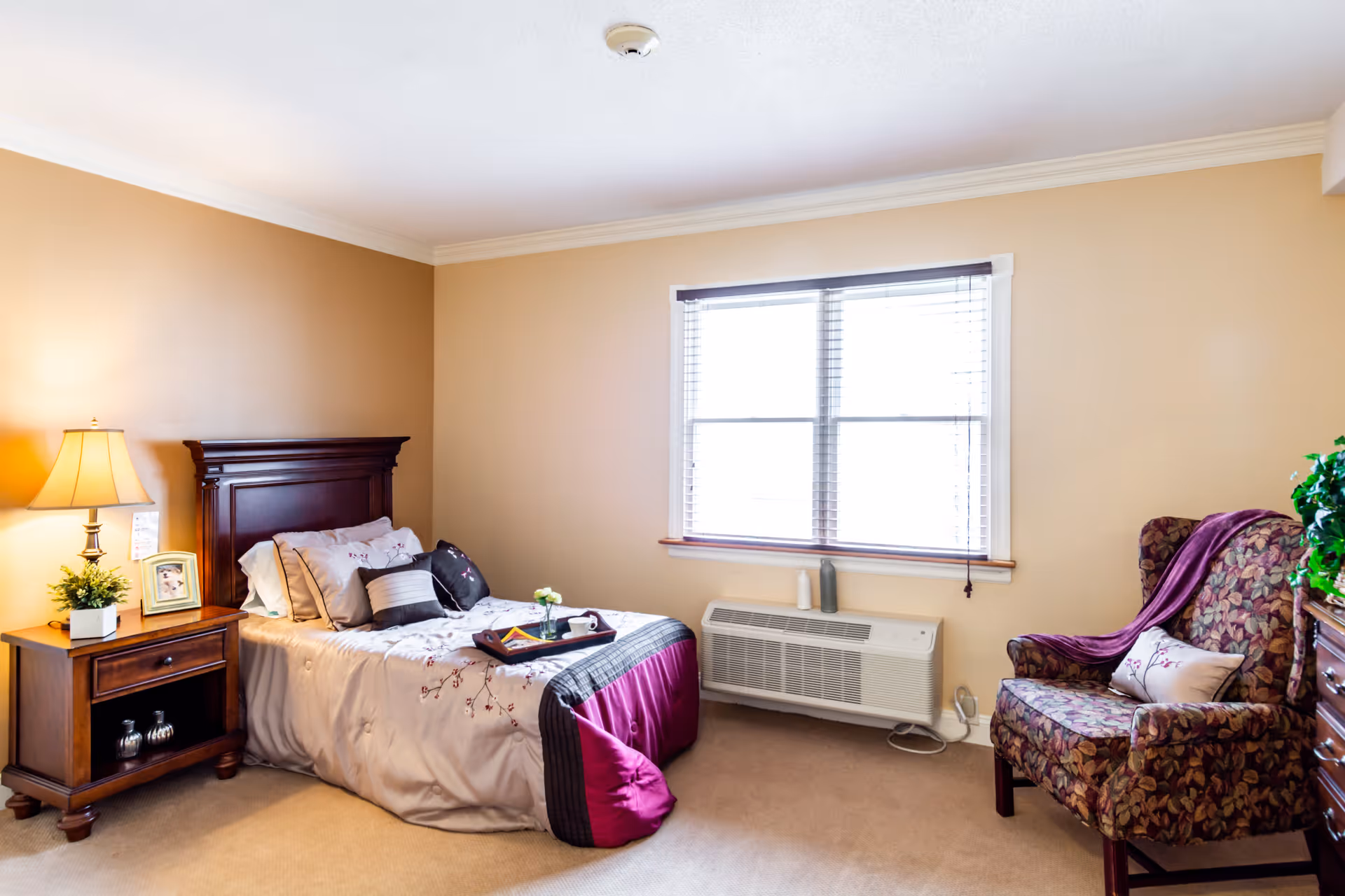 A cozy bedroom in a senior living facility featuring a single bed with decorative pillows and a purple throw blanket. Next to the bed is a wooden nightstand with a lamp, a small plant, and a framed photo. A large window with blinds allows natural light to fill the room. There is a patterned armchair with a pillow and a purple throw blanket, and a wooden dresser with a green plant on top.