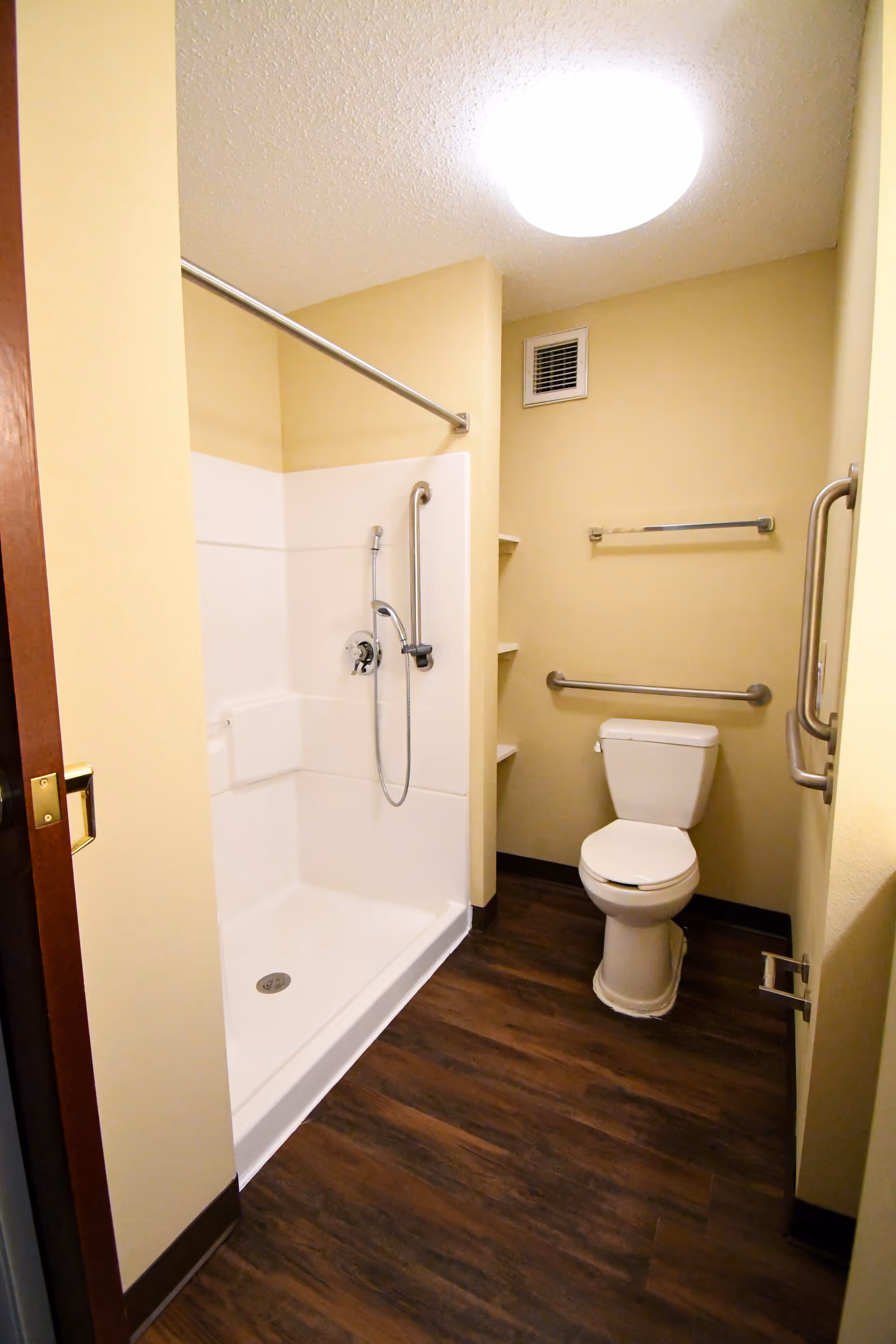 A senior-accessible bathroom with a walk-in shower, handheld showerhead, toilet, grab bars, and wood-look flooring.